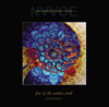 NVVOE Fire of the Unitive Path cd cover